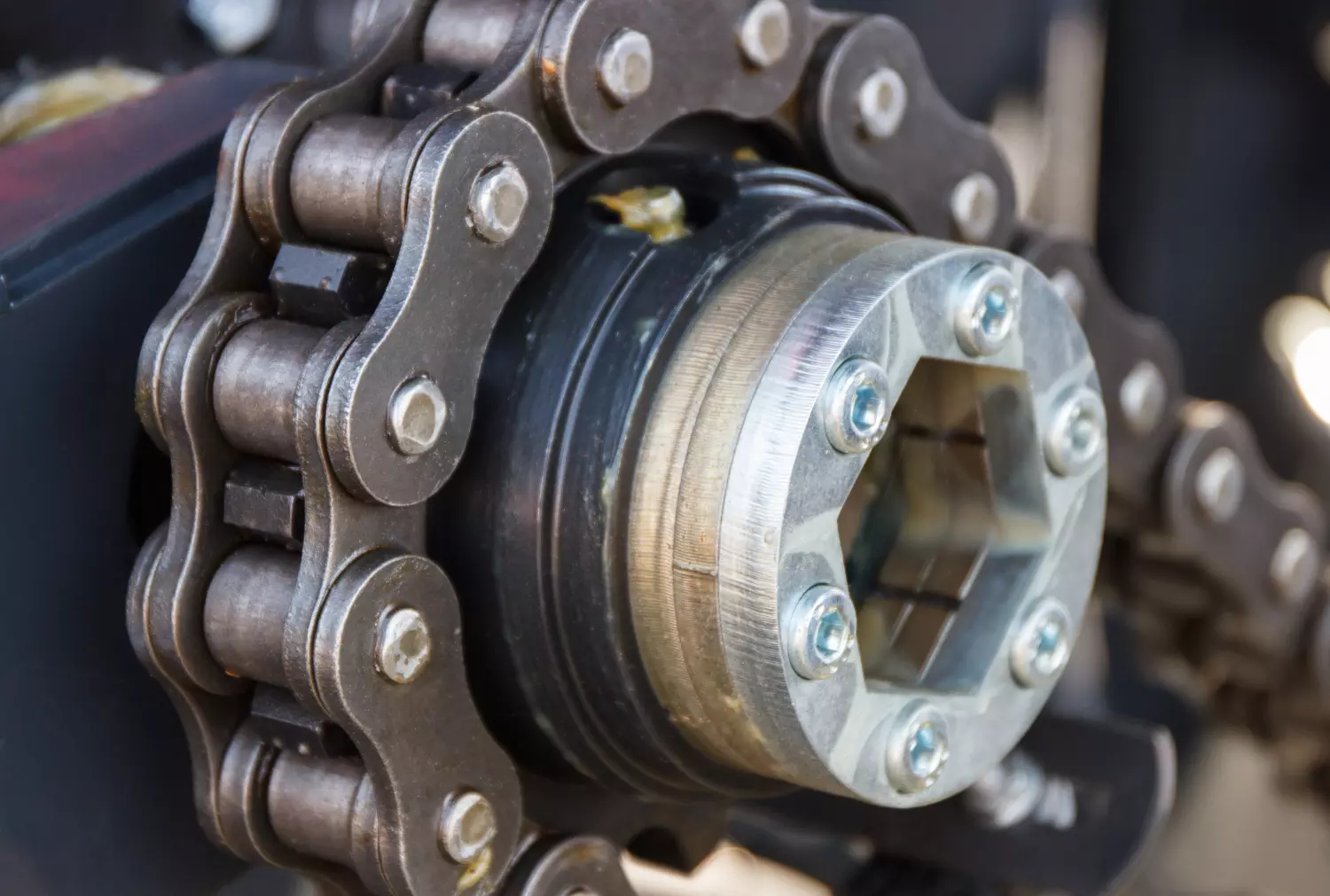 Cam Belts & Cam Chains What They Are, What They Do & Cost Bumper